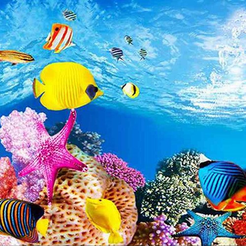 Aquarium background picture - aquarium,
