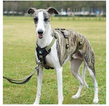 Paworld Escape Proof Dog Harness Small, Anti-Pull Front Clip Colour Army Green