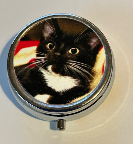Black white cat kitten - black,