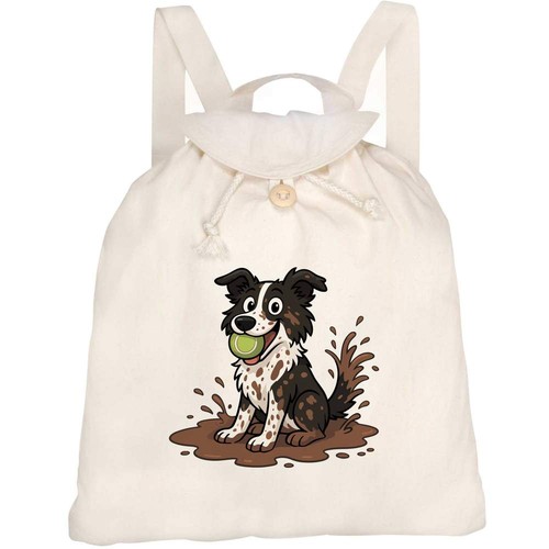 Muddy border collie - border, collie'