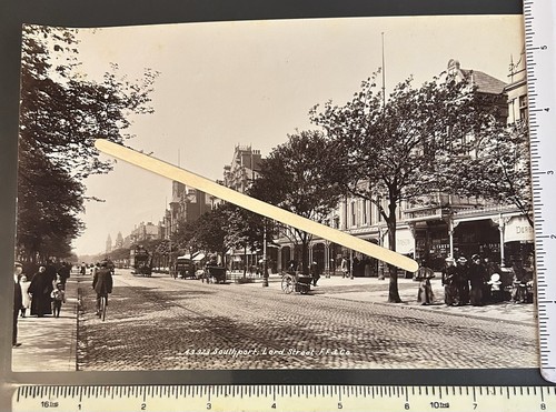Southport lord street horse - street,