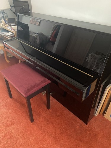Piano hamlyn klein - piano,