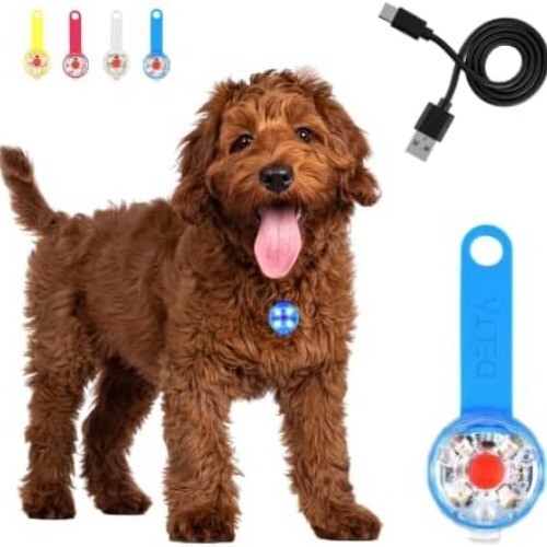 Rechargeable led dog collar - led,