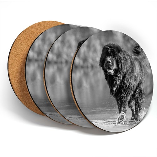 Coasters bw - 4,