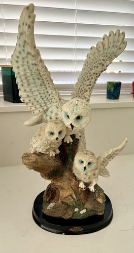 Academy collection collectable - collection,