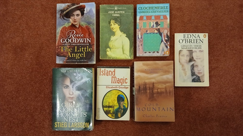 Job lot paperback novels - 7,