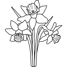 Daffodils unmounted rubber - 'daffodils',