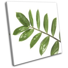 Leaves Botanical Green Branch