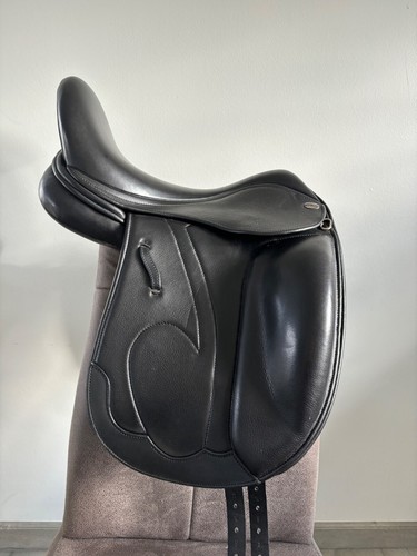 Harry dabbs mw dressage - harry,