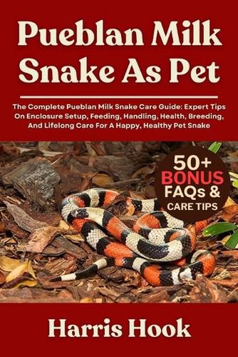Pueblan milk snake pet the - snake,