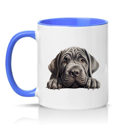 Cute cane corso - cute,