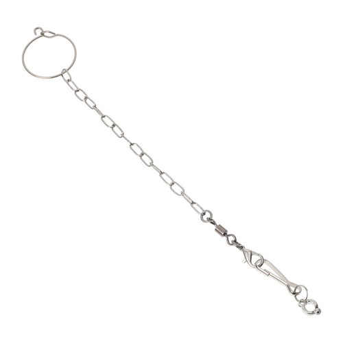 Parrot foot ring supplies - parrot,