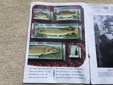 1946 TATLER “GUINNESS” THE SENIOR ANGLER CASED FISH&GUINNESS BRIDGEFORD INN ADV