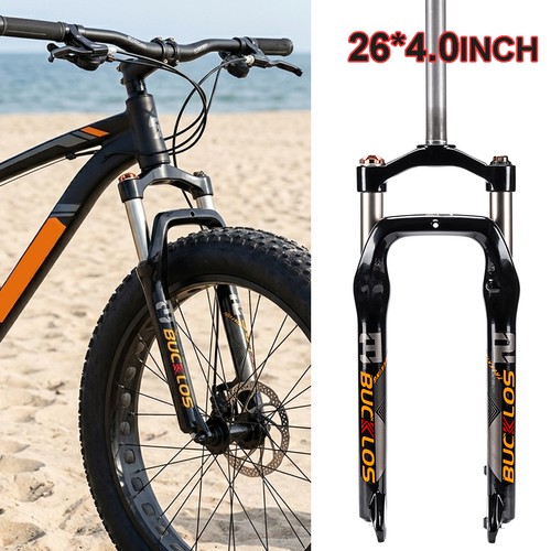 Fat bike beach - bike,