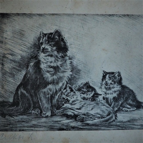 Antique persian cat - persian,