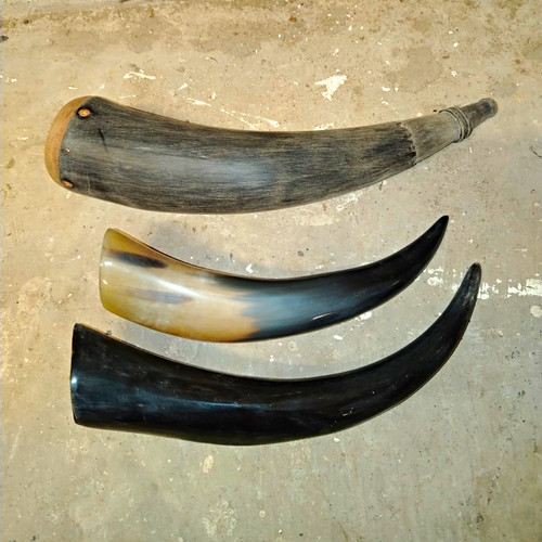 Lot cattle horn pieces - lot,