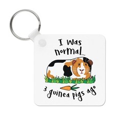 I Was Normal 3 Guinea Pigs Ago