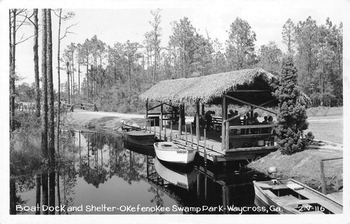 GA~GEORGIA~WAYCROSS~OKEFENOKEE