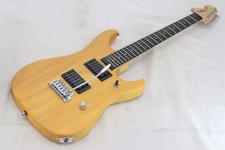 Washburn N1
