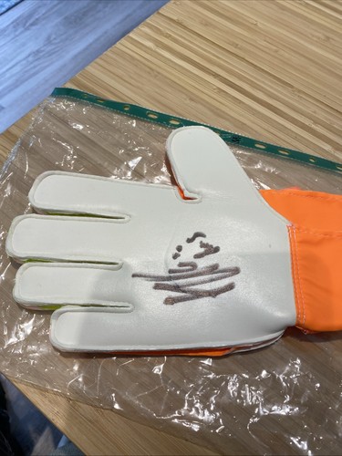 Hugo lloris signed goalkeeper - hugo,
