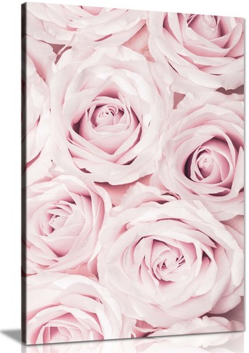 Pastel pink roses close - pastel,