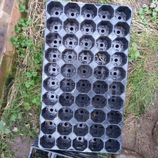 50 -cell Plug Plant Seed Trays with Drainage Holes (Pack of 10)
