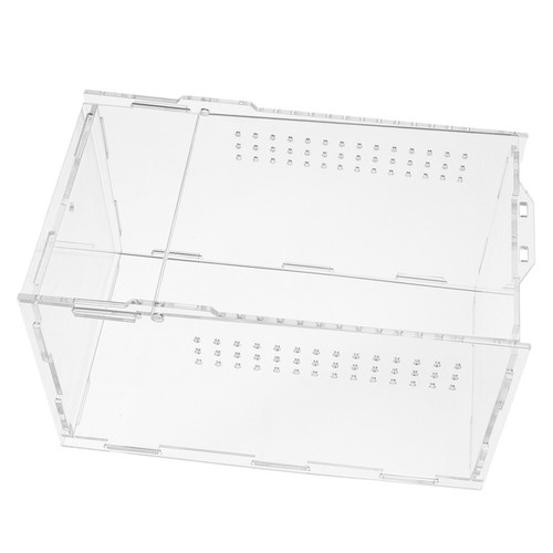 Pcs transparent reptile - pcs,