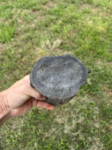 Very large whale vertebrae - very,