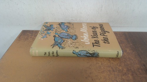 The year of - , pigeons
