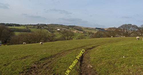 Photo 6x4 the view - the,