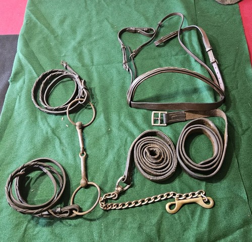 Horse tack tex - horse,