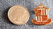 SUNDERLAND SMALL CREST PIN