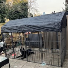 Giant Strong Steel Pet Dog