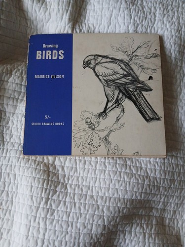 Drawing birds maurice - drawing,