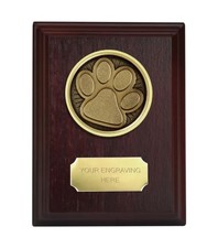 Paw Print Dog Cat Agility