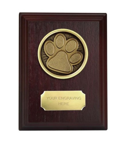 Paw print dog - dog, cat