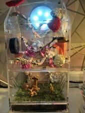 Small Insect Jumping Spider Enclosure