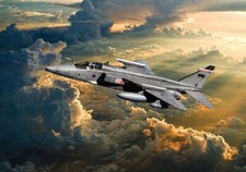 Raf sepecat jaguar - ,