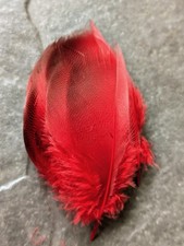 Red Bronze Mallard Feathers -