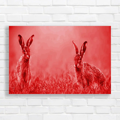 Easter bunny hares - easter, wildlife