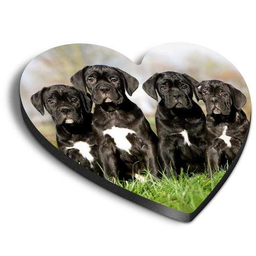 Heart fridge mdf magnet - heart,