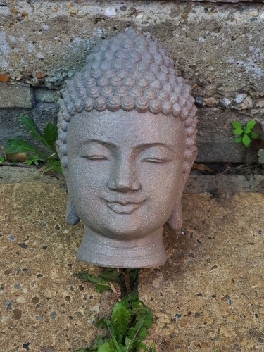 Buddha head latex - head,