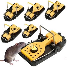 Mouse trap spring snap - trap,