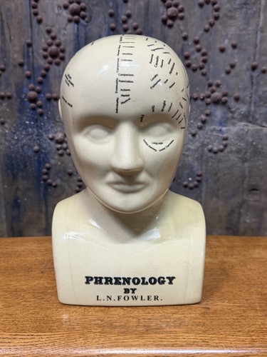Phrenology head n - phrenology, fowler