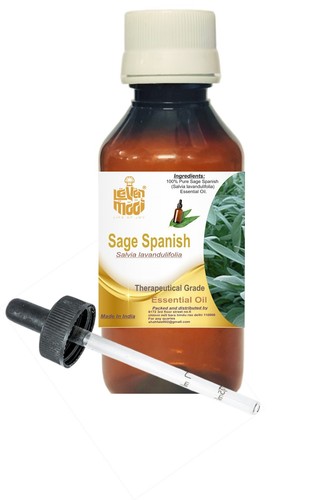 Levenmooi sage spanish salvia - spanish, (salvia