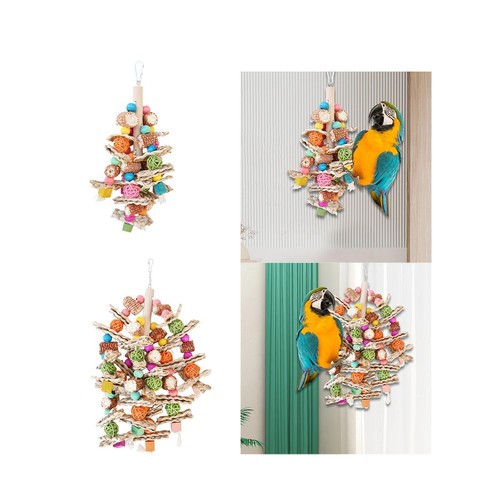 Bird cage hanging - bird,
