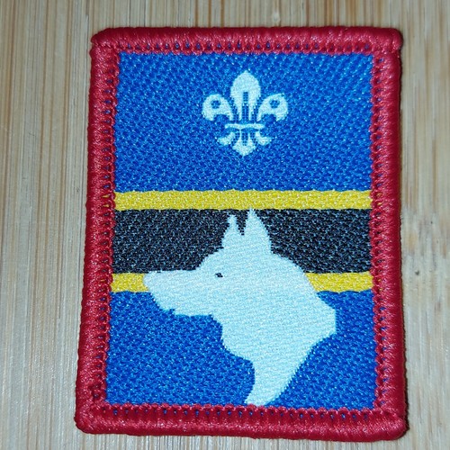 Scouting 2000 scout - 2000's,