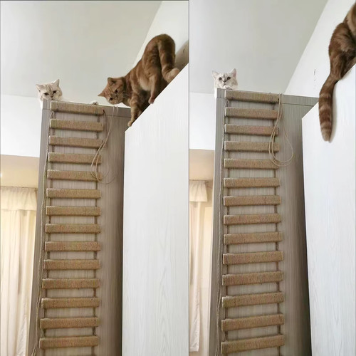 Cat climbing frame ladder - frame,