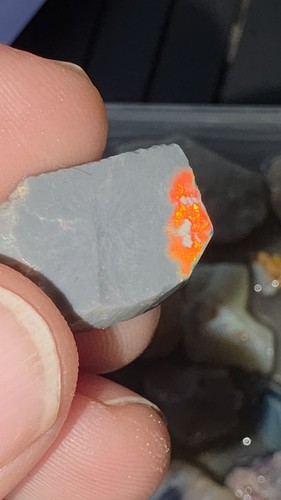 Australian opal rough boulder - rough,