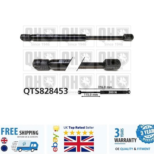 Cargo area gas spring - gas,